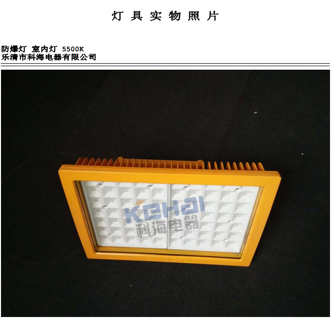 科海BLED/150W LED防爆灯分布光度计测试报告