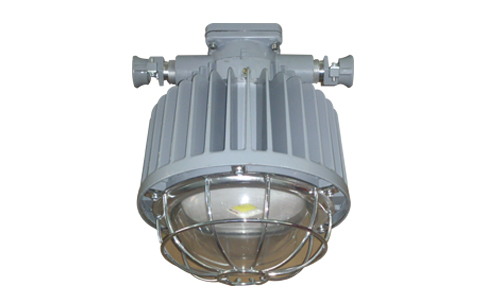 DGS50/127L礦用隔爆型LED巷首燈